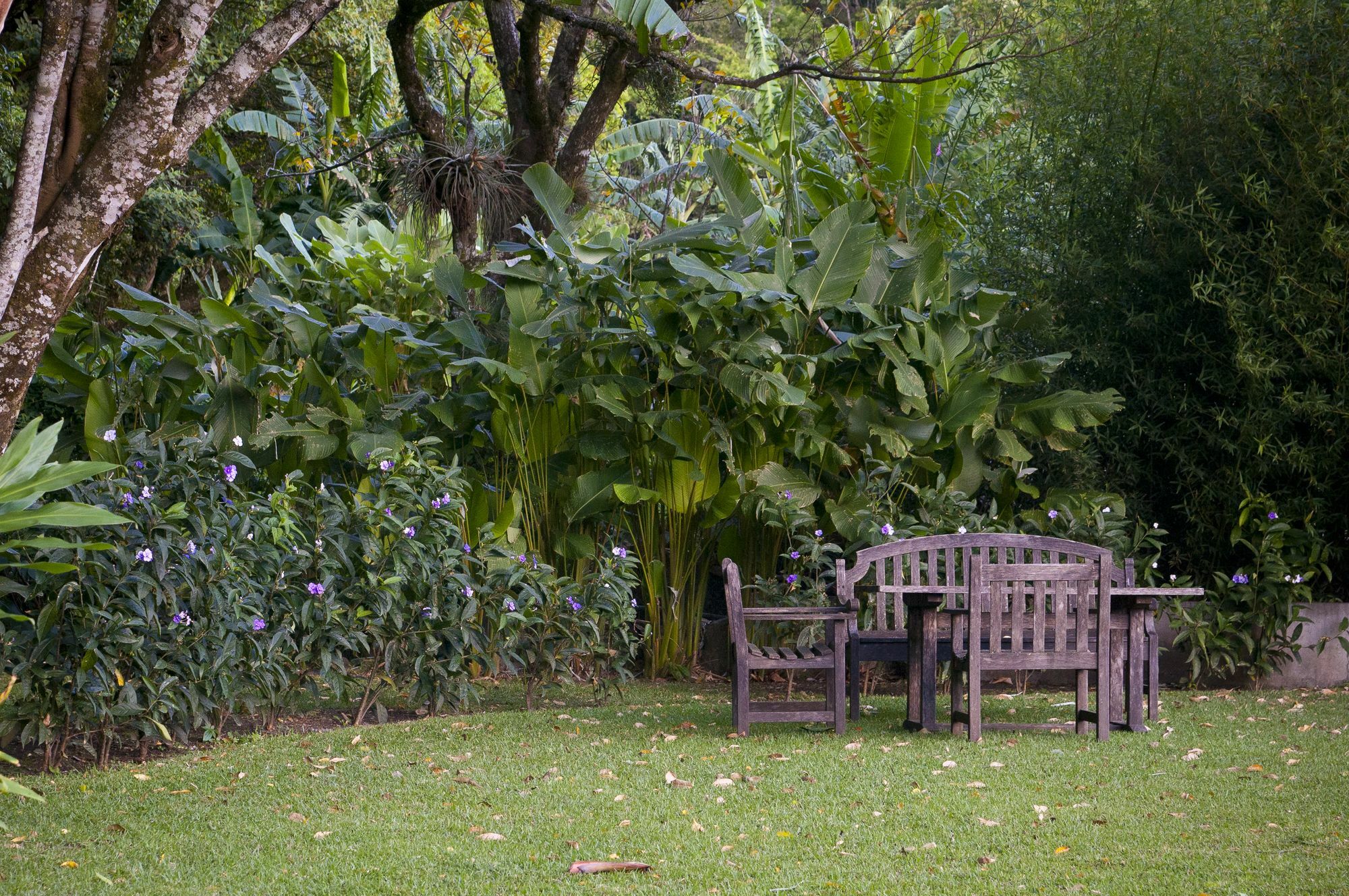The Haven - Hotel & Spa, - Adults Only โบเกเต ภายนอก รูปภาพ